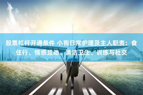 股票杠杆开通条件 小狗日常护理及主人职责：食住行、情感互动、清洁卫生、训练与社交