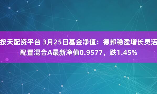 按天配资平台 3月25日基金净值：德邦稳盈增长灵活配置混合A最新净值0.9577，跌1.45%