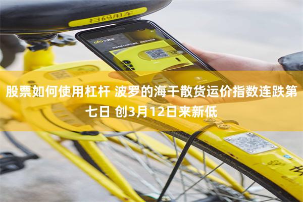股票如何使用杠杆 波罗的海干散货运价指数连跌第七日 创3月12日来新低