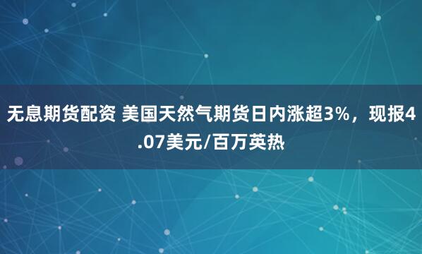 无息期货配资 美国天然气期货日内涨超3%，现报4.07美元/百万英热