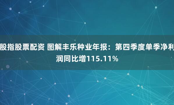股指股票配资 图解丰乐种业年报：第四季度单季净利润同比增115.11%