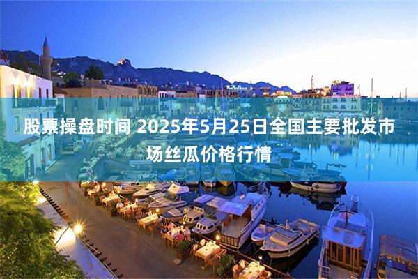 股票操盘时间 2025年5月25日全国主要批发市场丝瓜价格行情