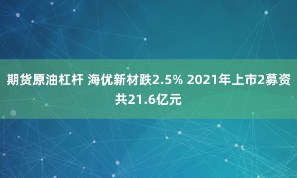 期货原油杠杆 海优新材跌2.5% 2021年上市2募资共21.6亿元